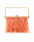 Bolsa Clutch Plumas Salyna